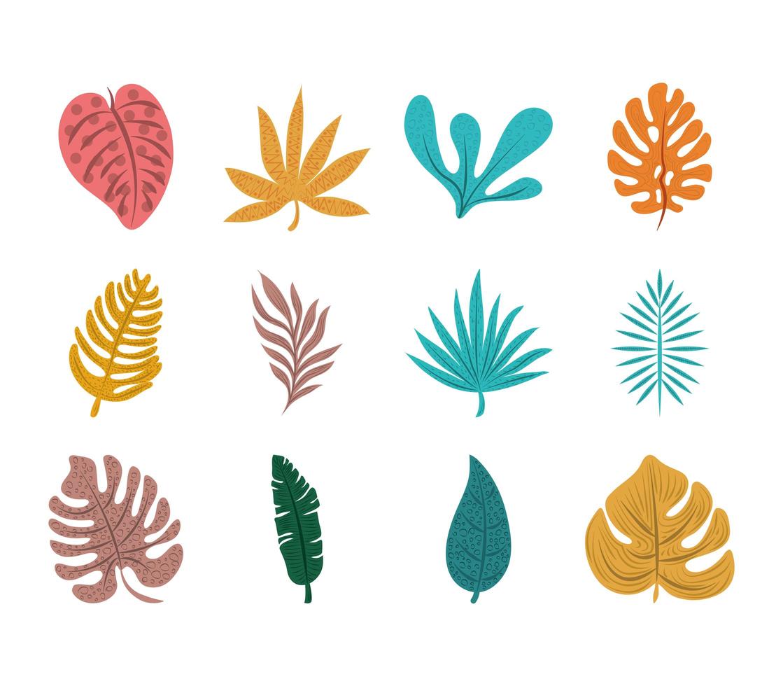 tropical leaf foliage exotic nature icon set flat design vector