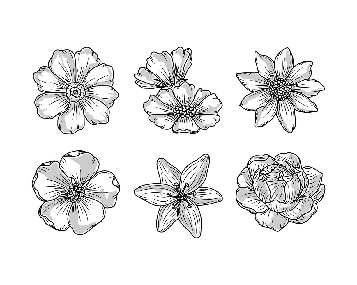 dibujo floral de flores 2515642 Vector en Vecteezy