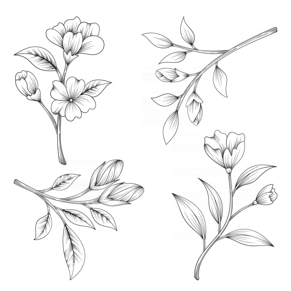 hand drawn beautiful herbs and wild flowers and leaves isolated on white background vector