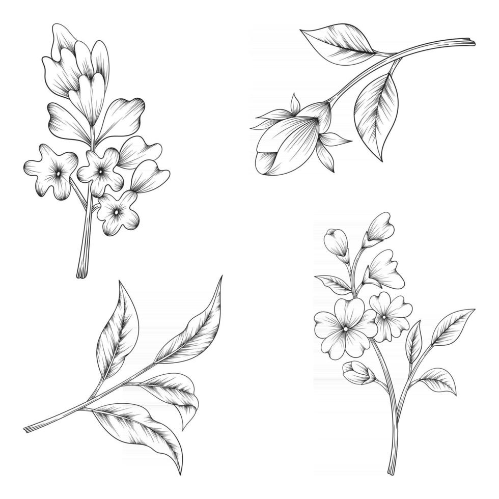 hand drawn beautiful herbs and wild flowers and leaves isolated on white background vector