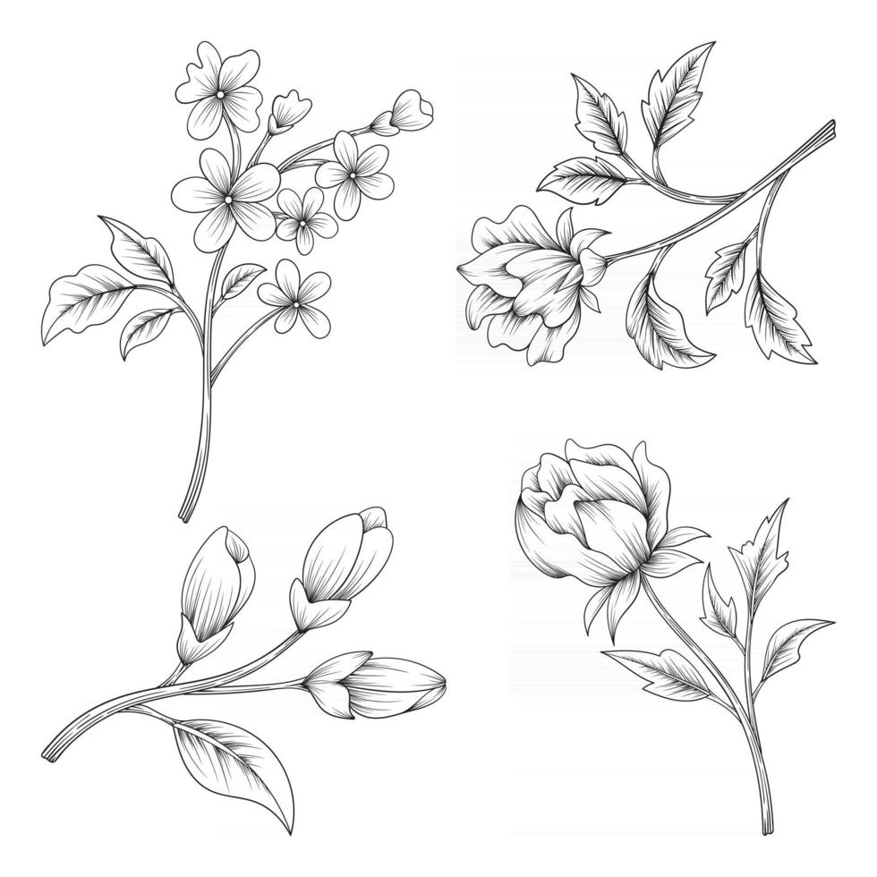 Dibujado a mano hermosas hierbas y flores silvestres y hojas aisladas sobre fondo blanco vector