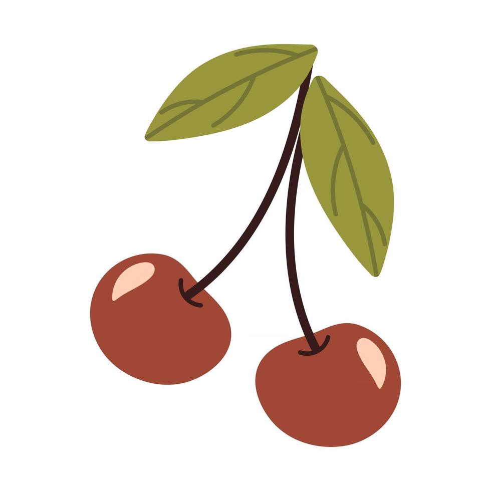 Cherry with stem and leaves Summer ripe berry vector