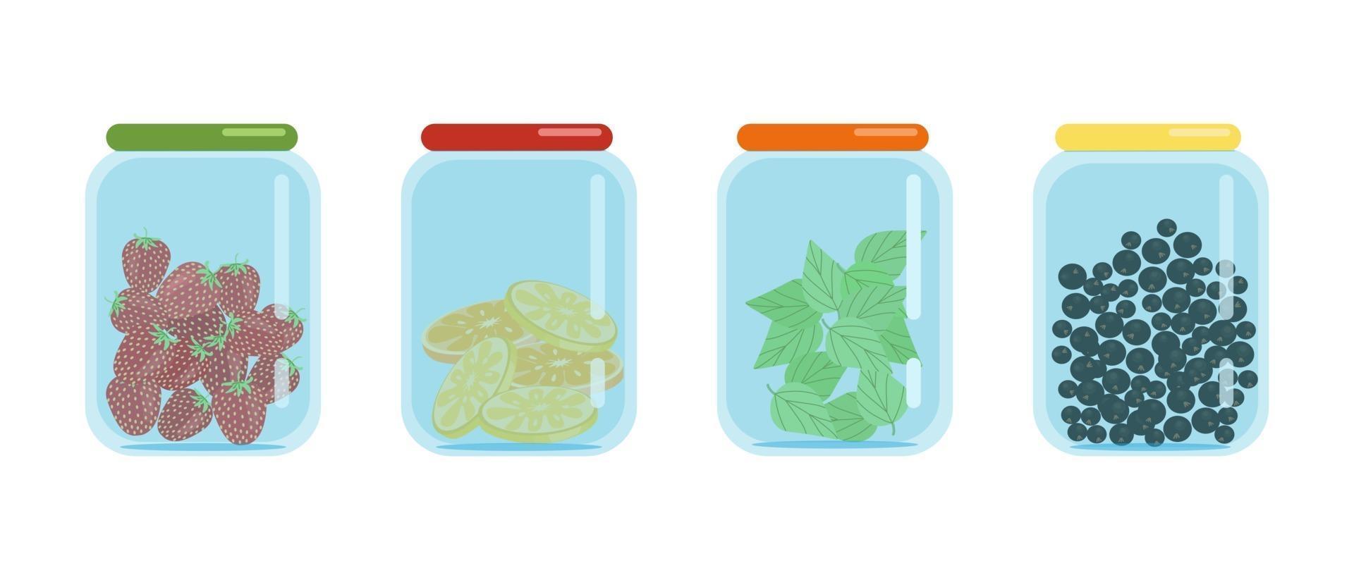 Glass jars closed with lids filled with dried slices of lemons and oranges black currants and strawberries dried fruit blanks vector illustration in flat style isolate cartoon