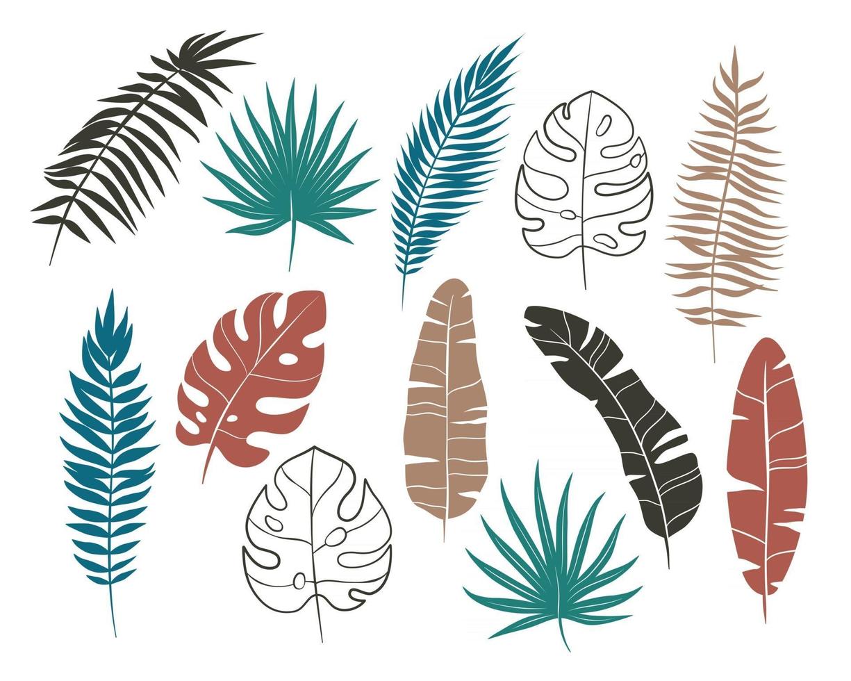 Set of palm leaves illustrations vector
