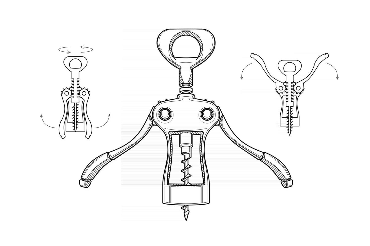 corkscrew in different positions vector