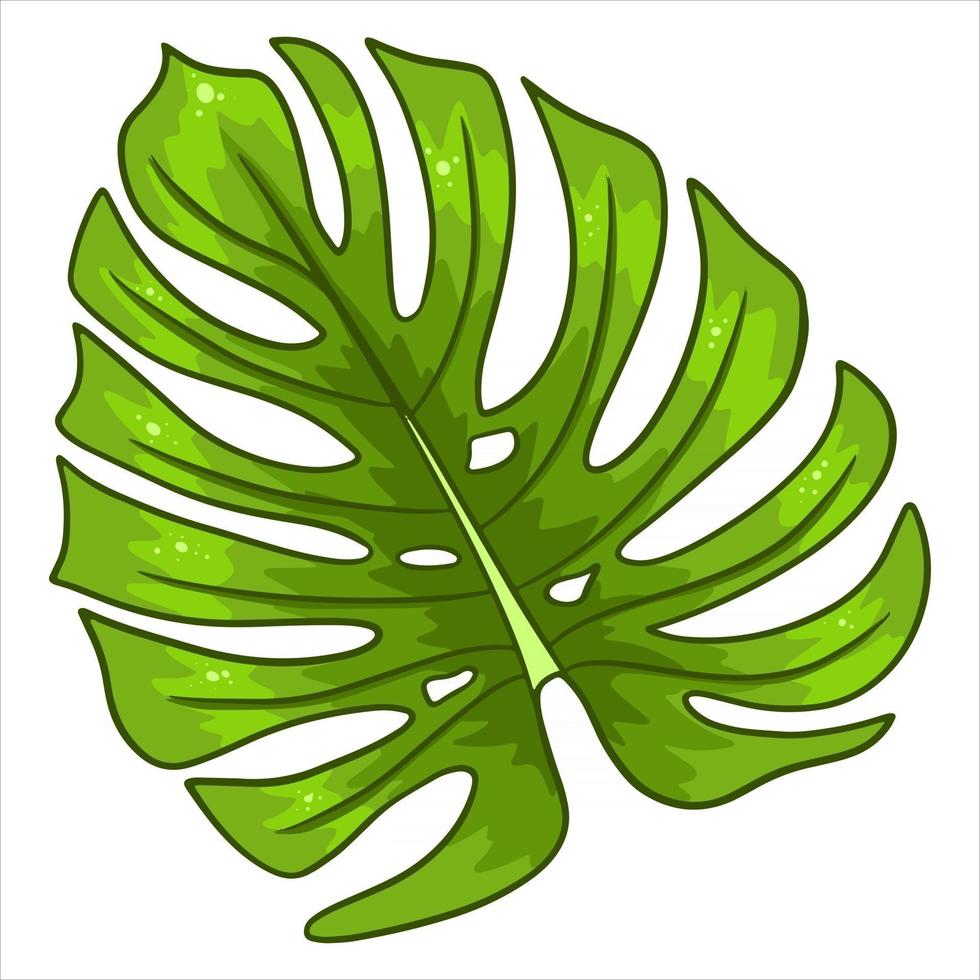 Tropical plants exotic carved green leaf in cartoon style vector
