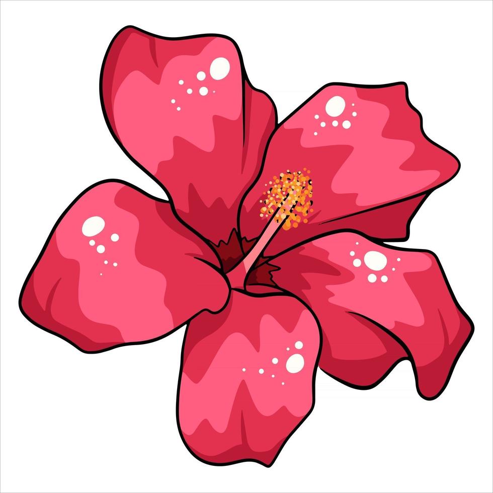 Tropical plant bright flower in cartoon style vector