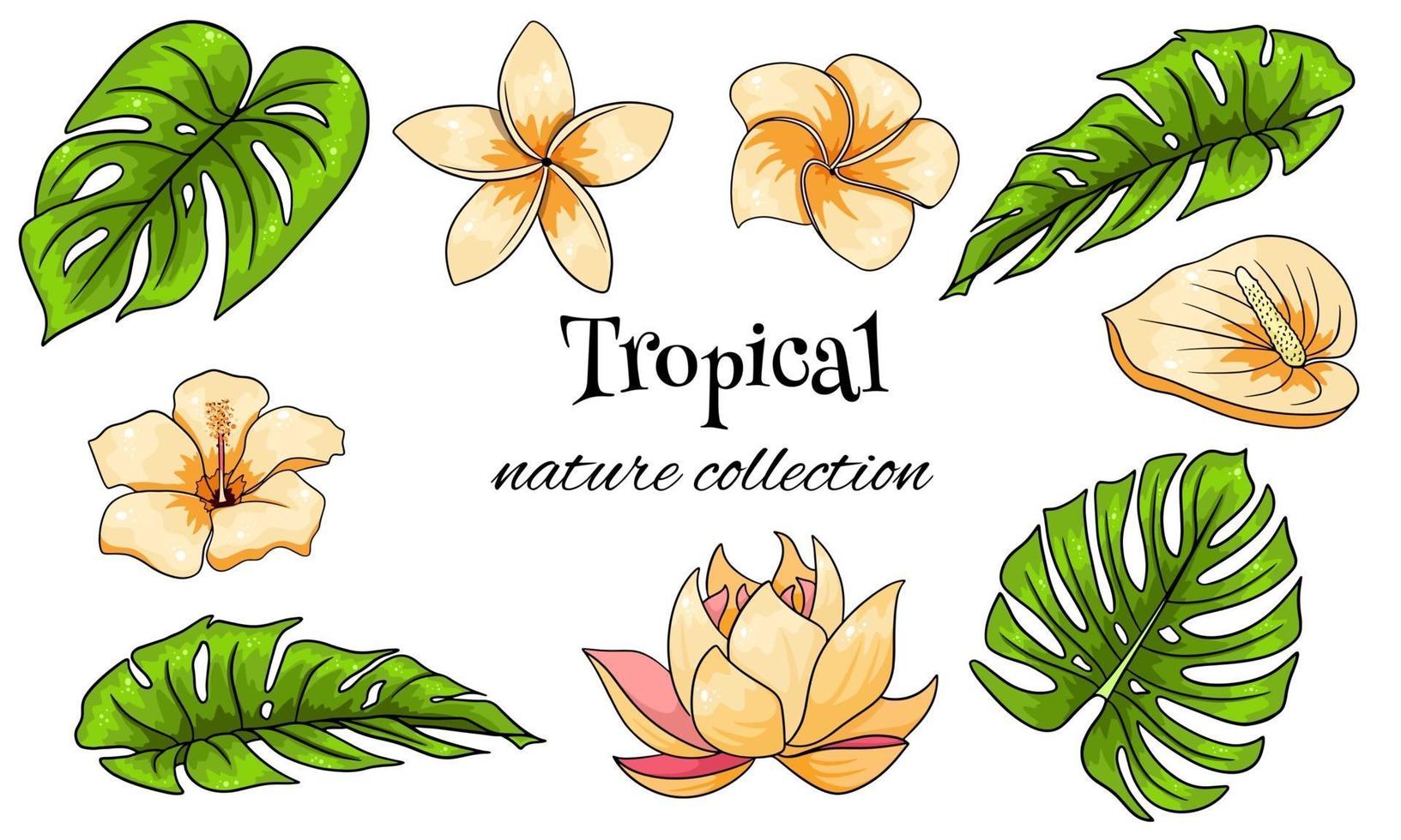 Tropical collection with exotic flowers and carved leaves in cartoon style vector