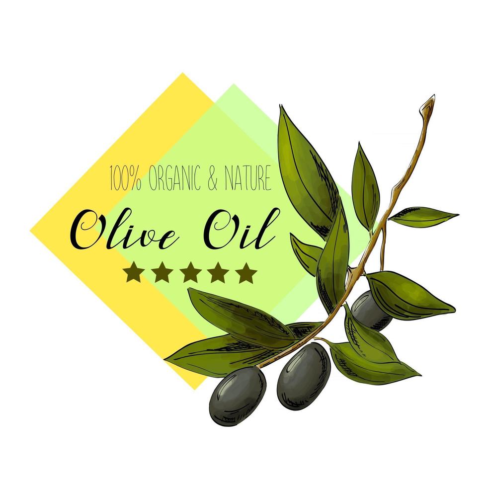 diseño elegante de la etiqueta del aceite de oliva del vector para el envasado de aceite de oliva