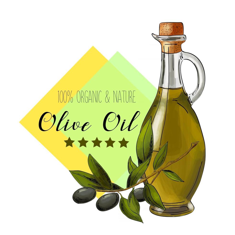 Vector olive oil label Elegant design for olive oil packaging