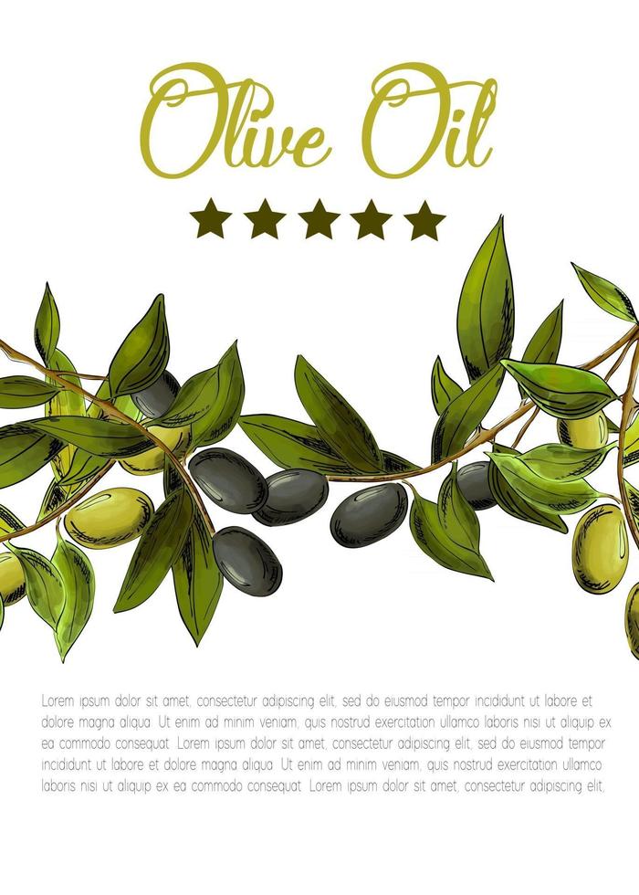 Vector template with black and green olives on white background