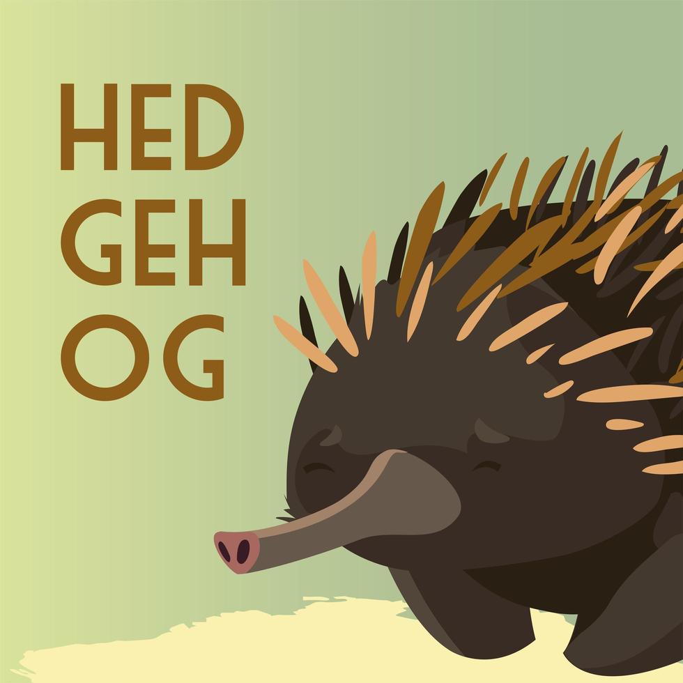 hedgehog australian animal wildlife native vector