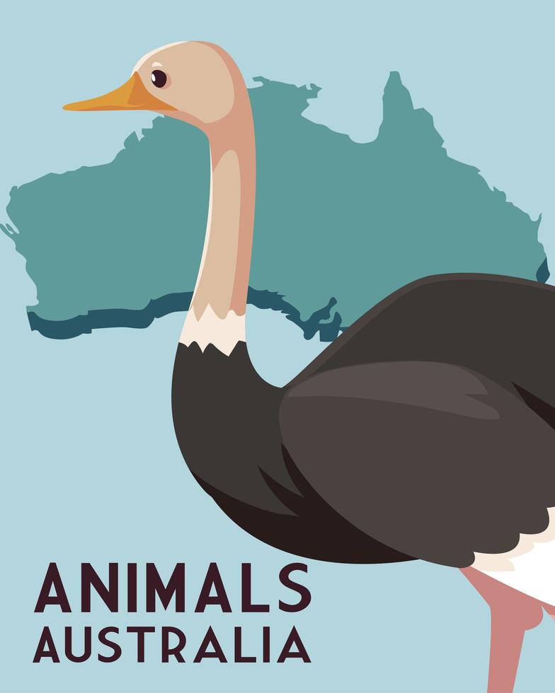 avestruz continente australiano mapa animal fauna vector