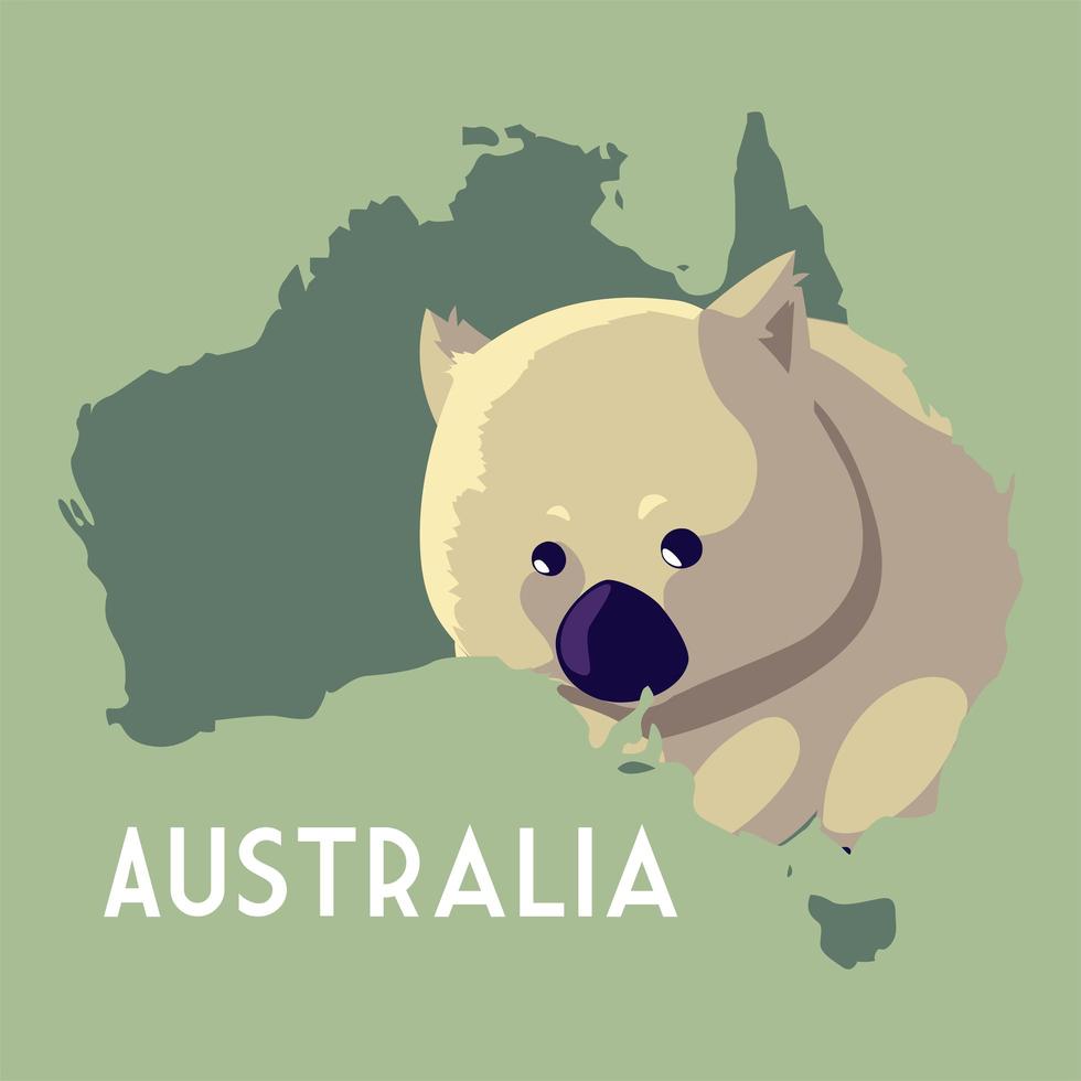 wombat continente australiano mapa animal fauna vector