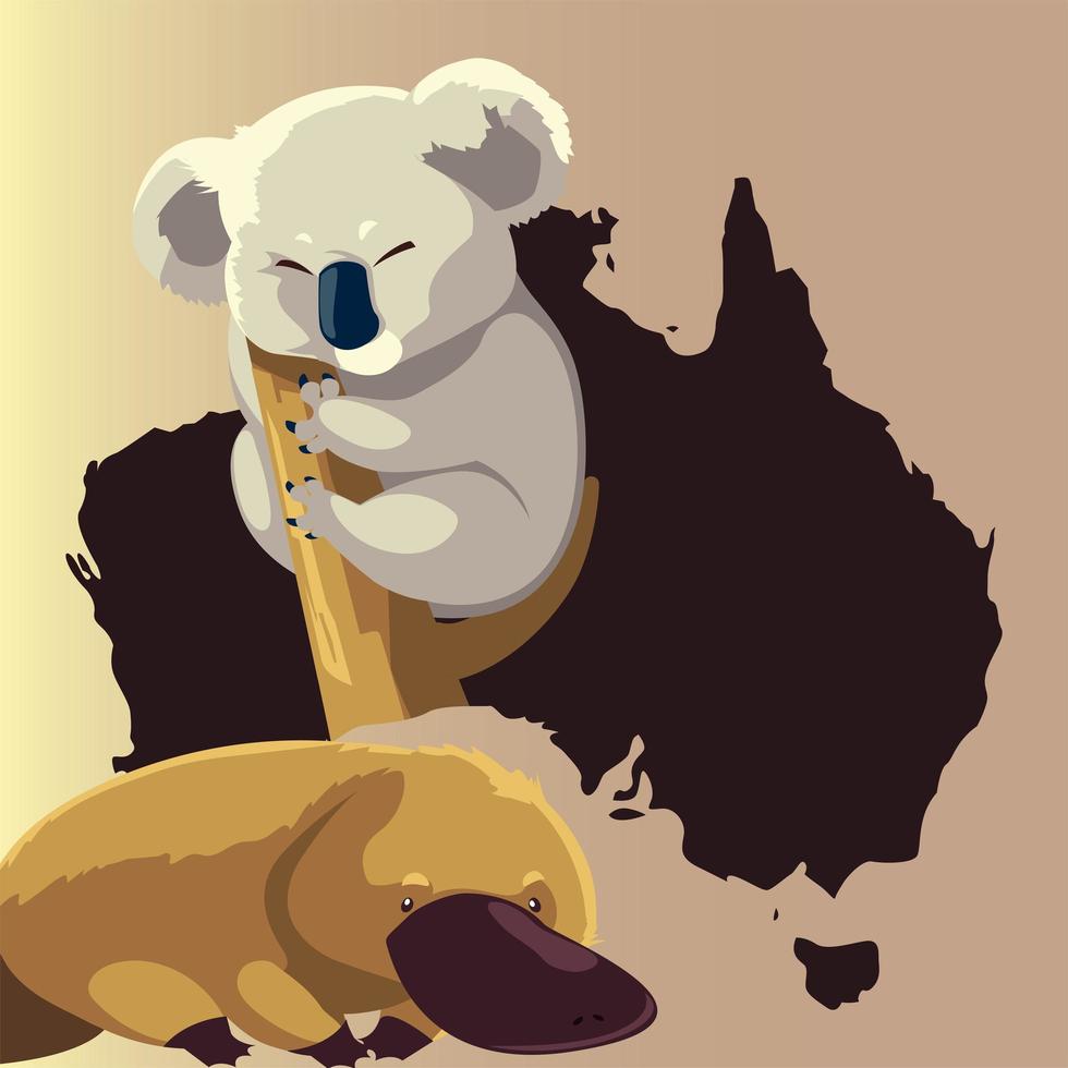 ornitorrinco y koala mapa australiano animal fauna vector