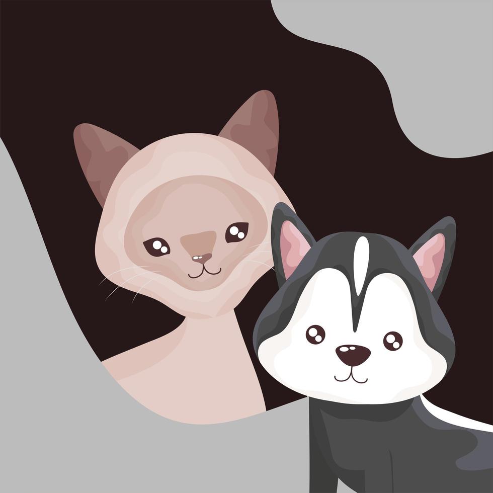 lindo gato y perro animales domésticos dibujos animados mascotas vector