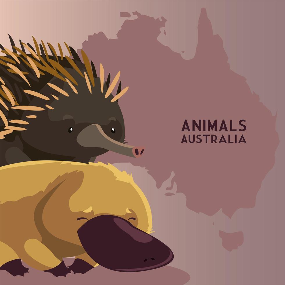 hedgehog and platypus australian continent map animal wildlife vector