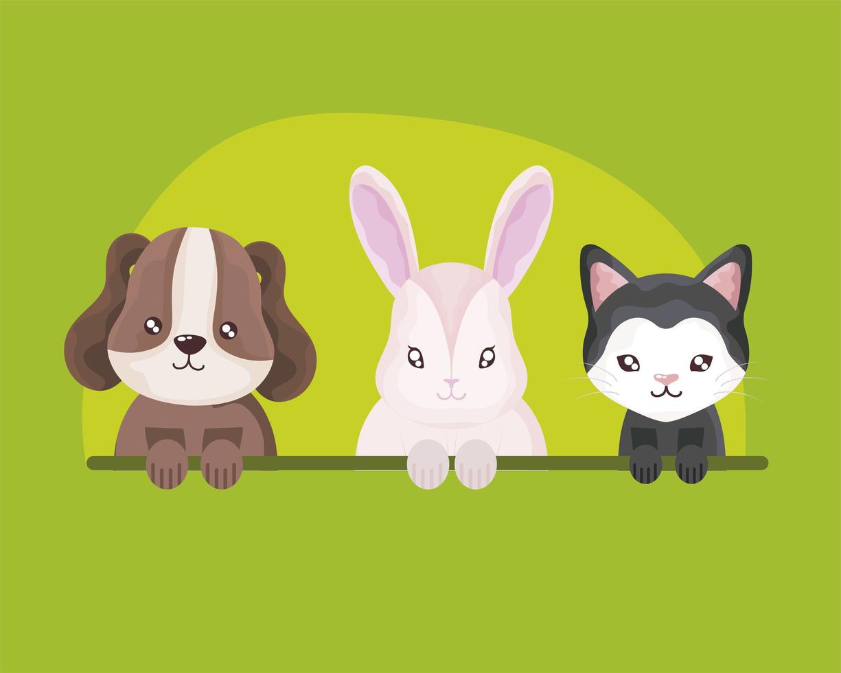 cartoon pets rabbit cat and dog domestic animals vector