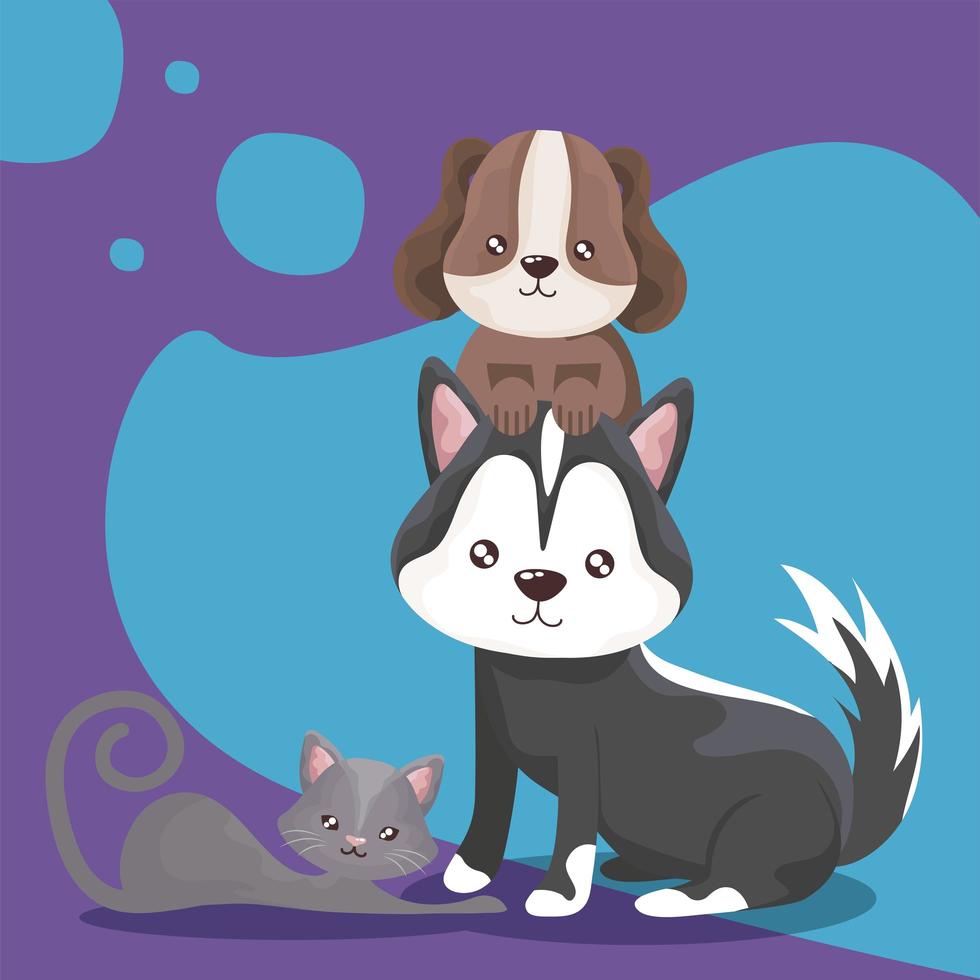 funny dogs and gray cat pets domestic animals vector