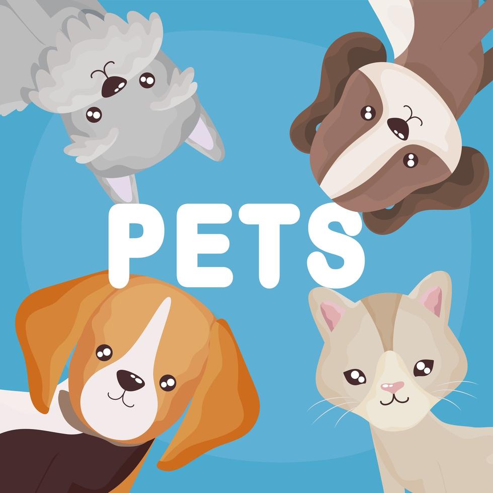 funny pets cats and dogs cartoon domestic animals vector