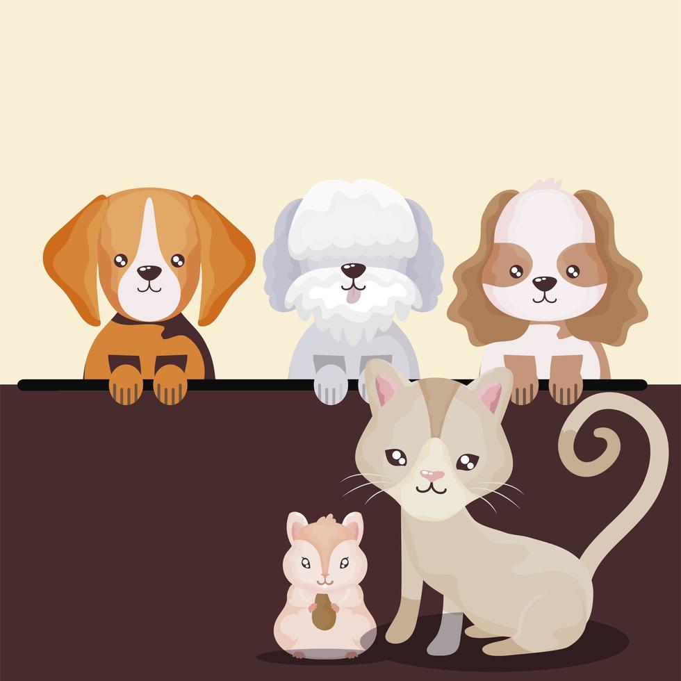 pets domestic animals together dogs cat and hamster vector