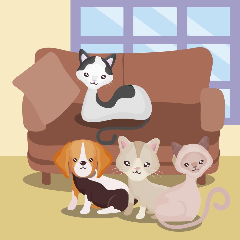 pets domestic animals cute cats and dog sofa room home vector