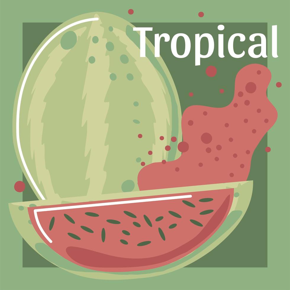 sandía fruta fresca comida sana orgánica vector