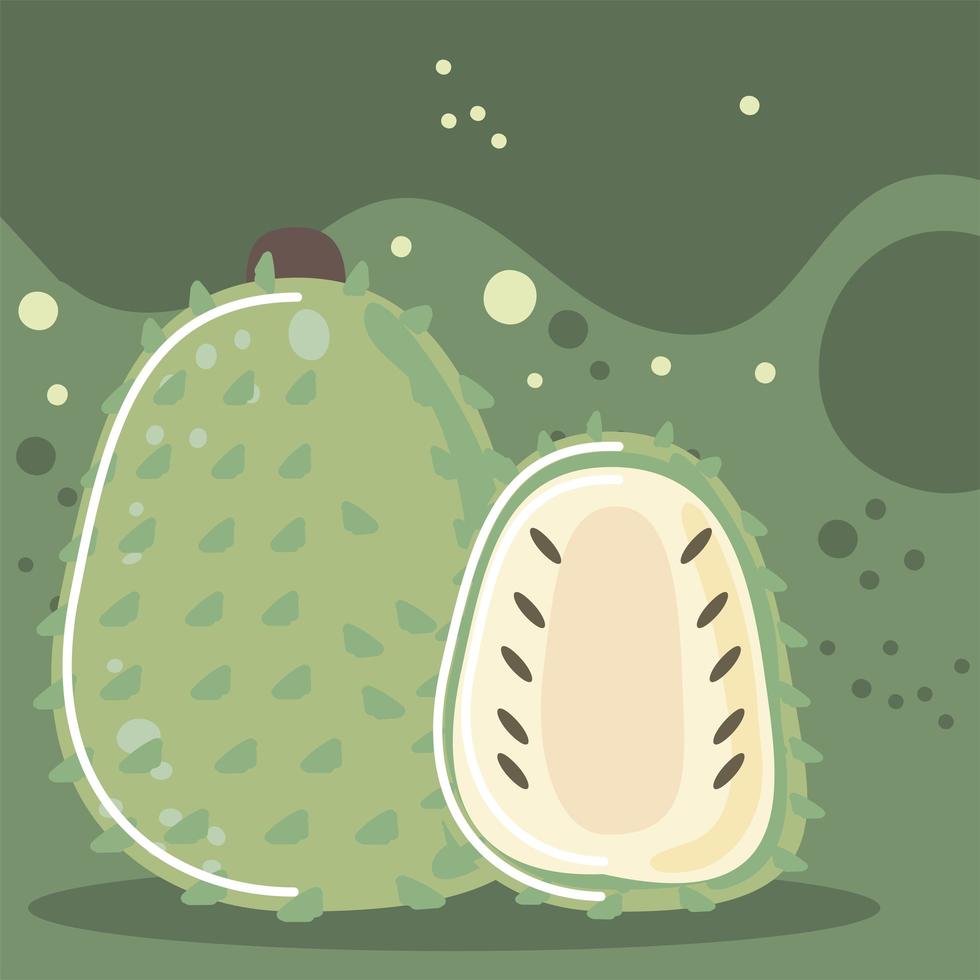 soursop fresh fruit organic healthy food vector