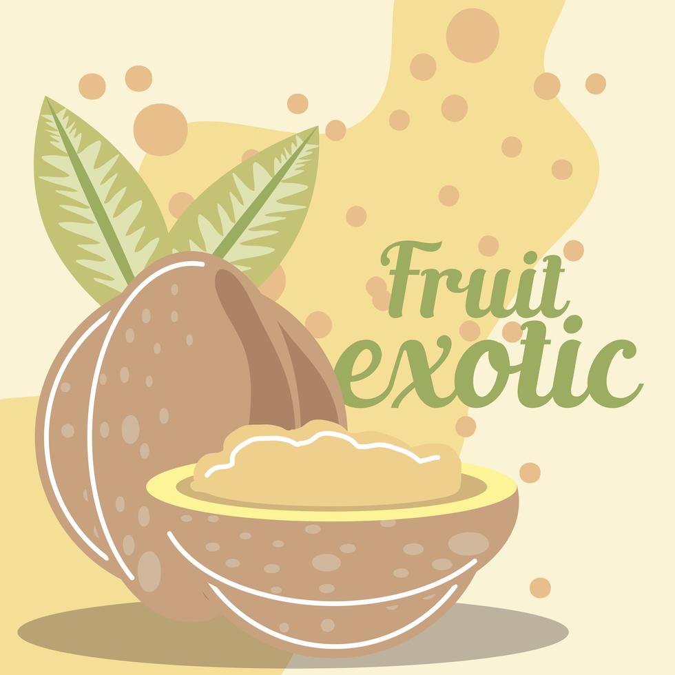tropical fruit fresh organic healthy food vector