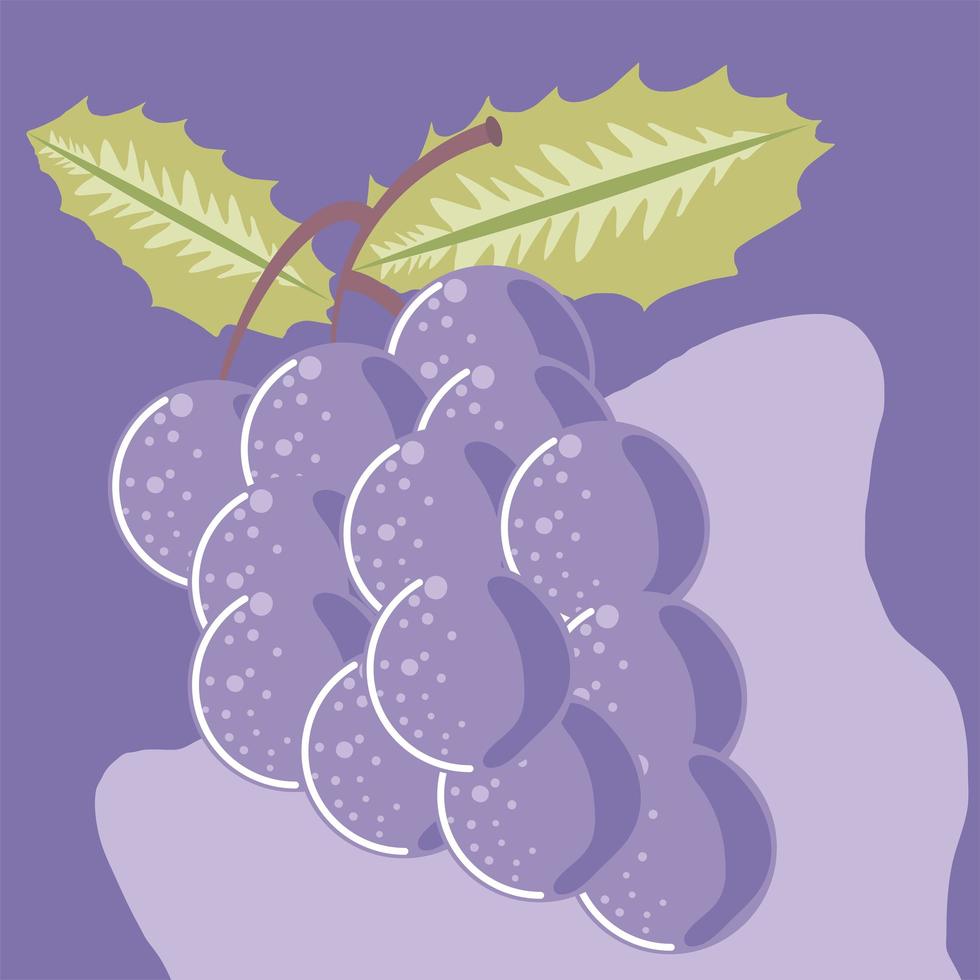 uvas fruta fresca comida sana orgánica vector