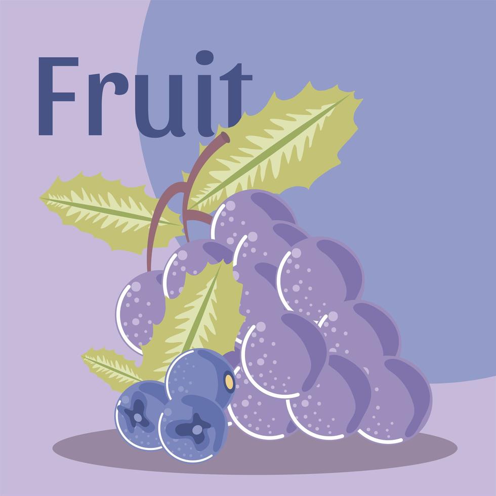 uvas y arándanos fruta fresca comida sana orgánica vector