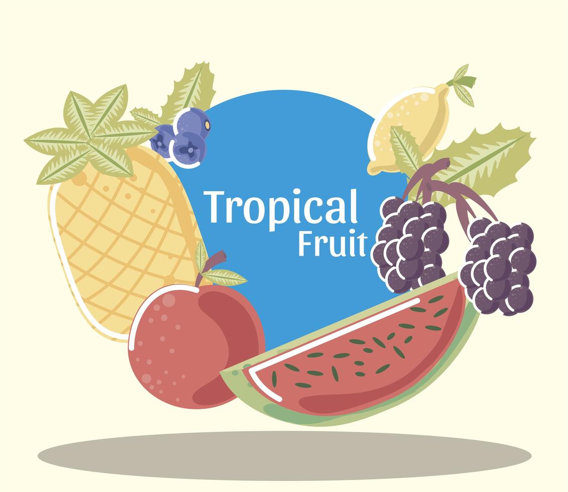 frutas tropicales piña fresca uvas manzana limón y sandía vector