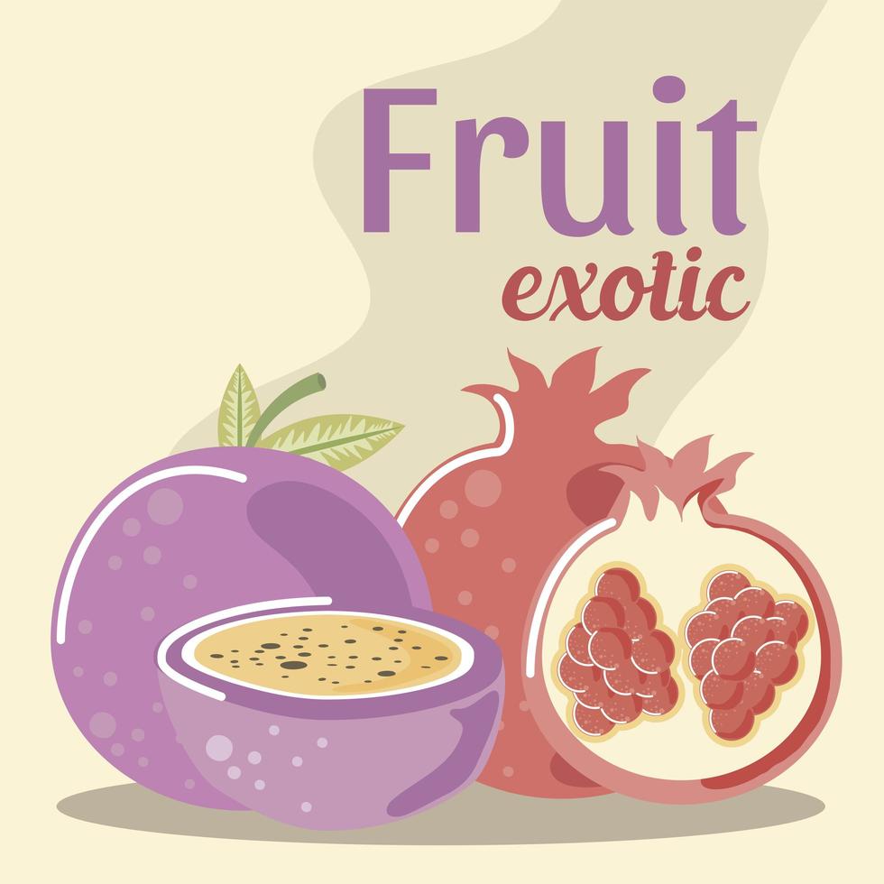 pomegranate and passion fruit fresh fruit exotic vector