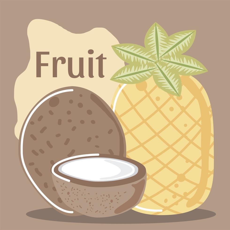 tropical coconut fresh fruit organic healthy food vector