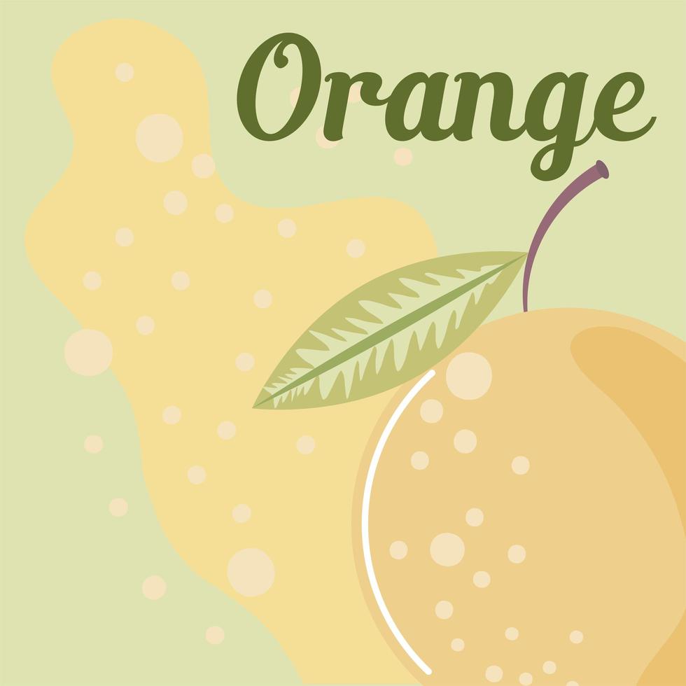 naranja fruta fresca comida sana orgánica vector