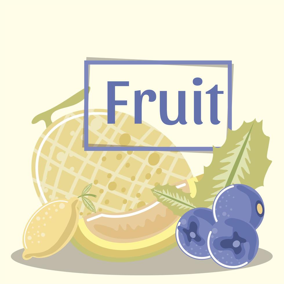 melón frambuesa limón frutas orgánicas y frescas vector
