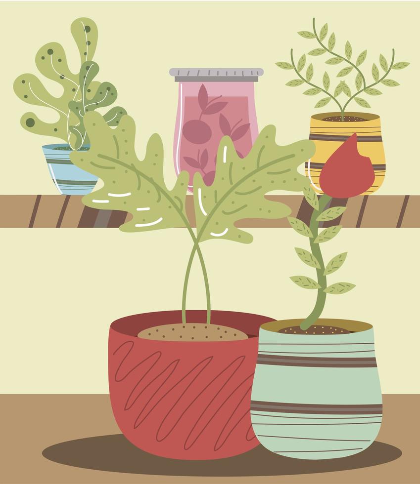 home garden potted plants and flower decoration vector