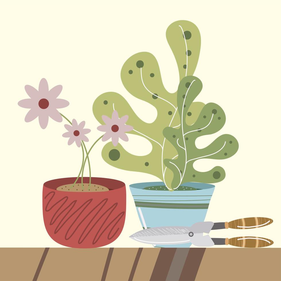 home garden flowers succulent plant in pot and scissors vector