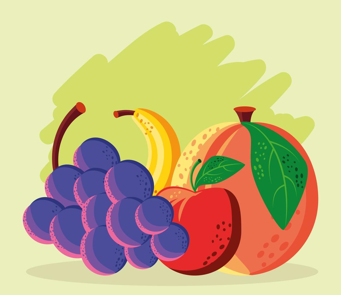comida frutas frescas vector