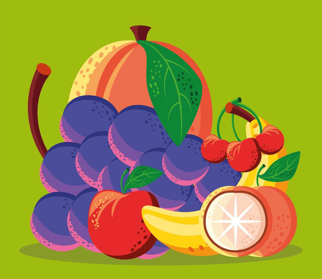 fruits fresh food vector