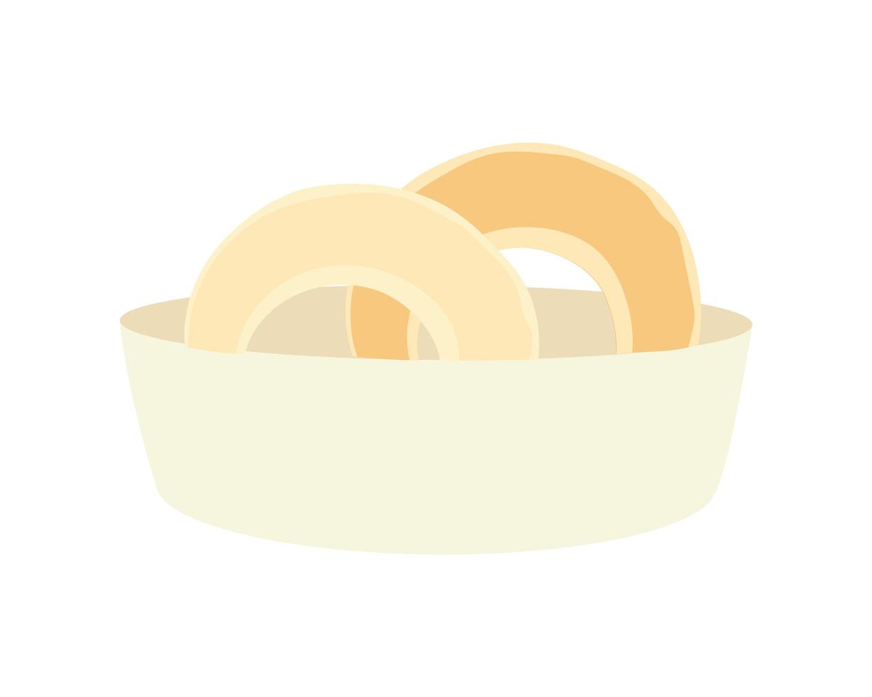sweet donuts on a plate icon isolated design vector