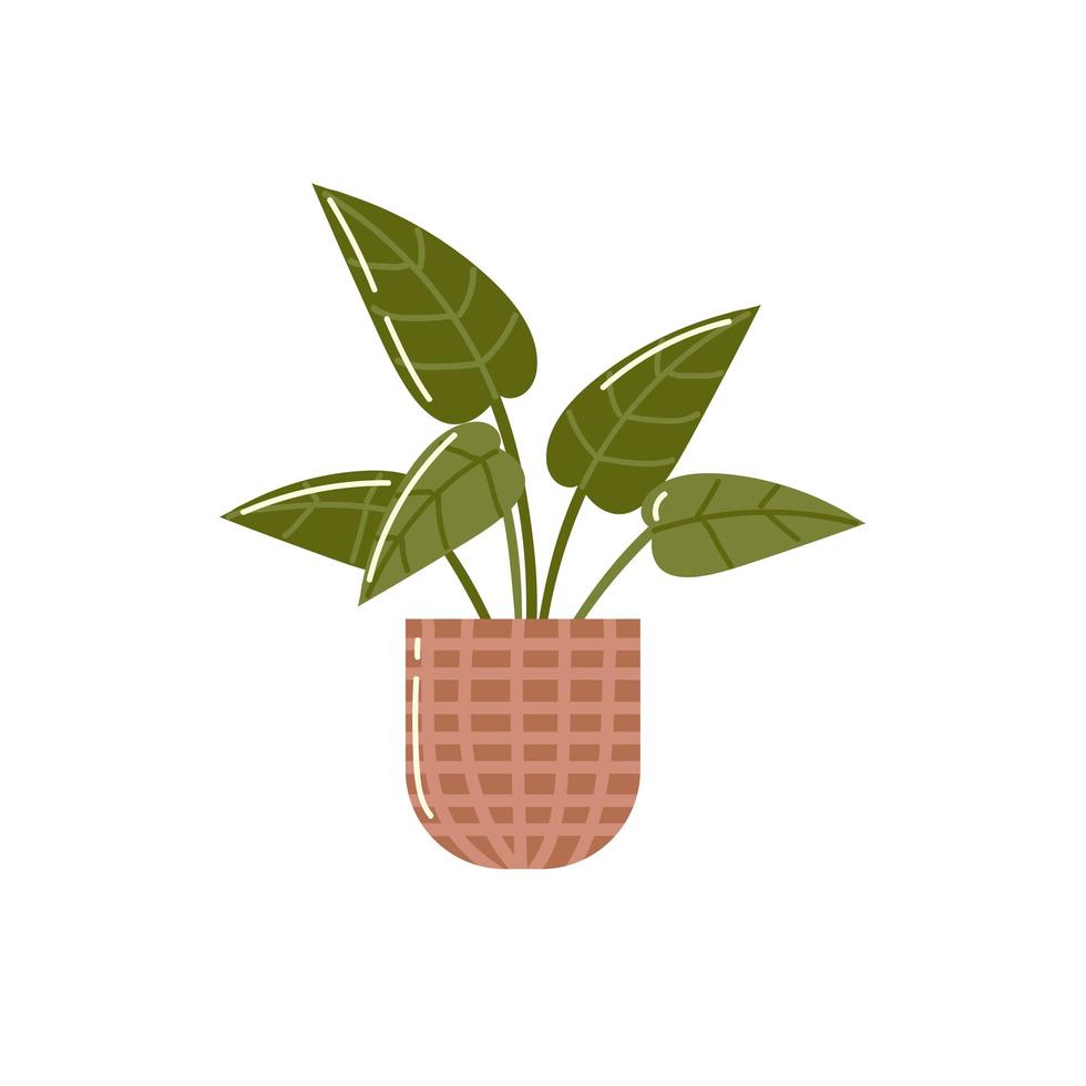 Planta en maceta icono de decoración de jardín diseño aislado vector