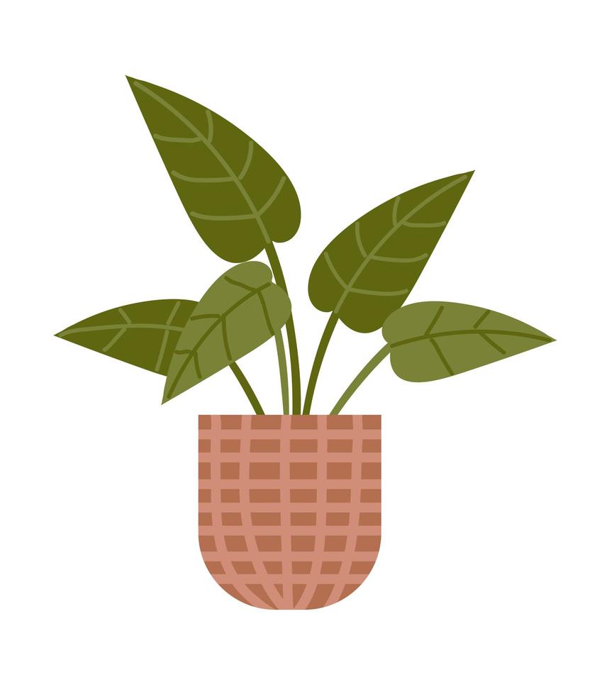 potted plant garden interior icon isolated design vector