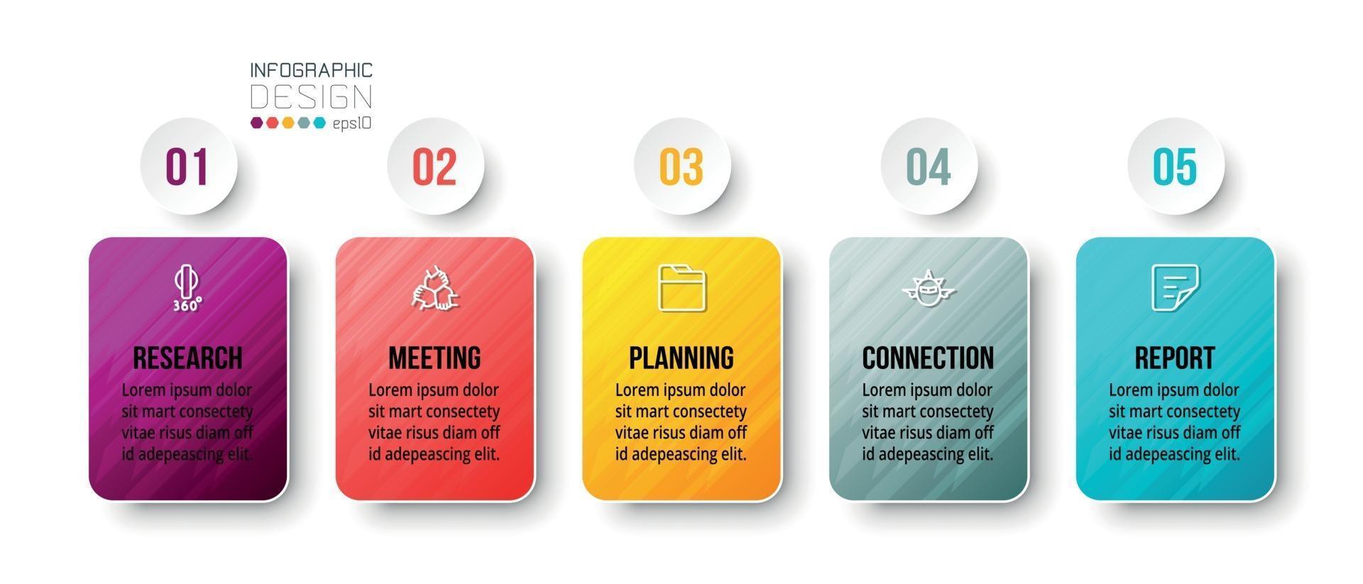 Infographic business template with step or option design vector