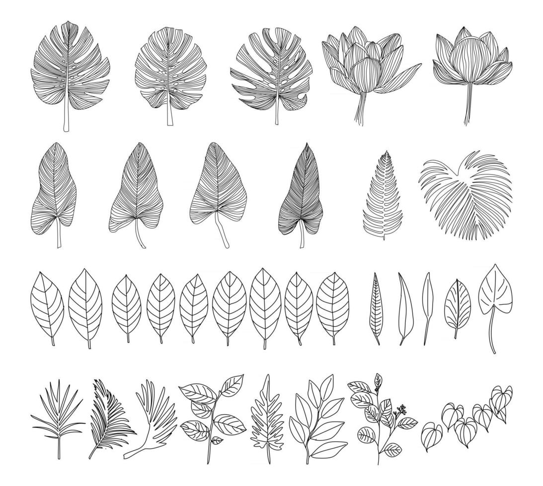 Ilustración de vector de colección de vector de elemento de arte de pared botánica
