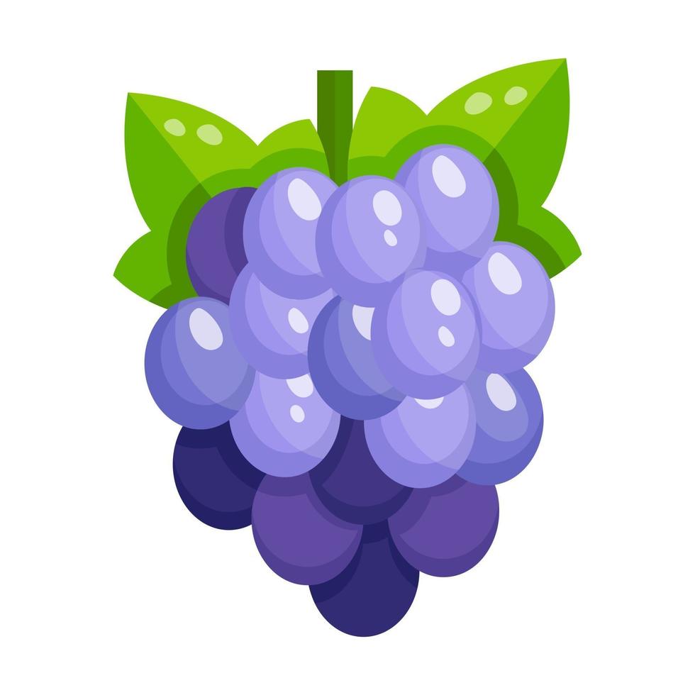 Grapes a bunch of sweet vector