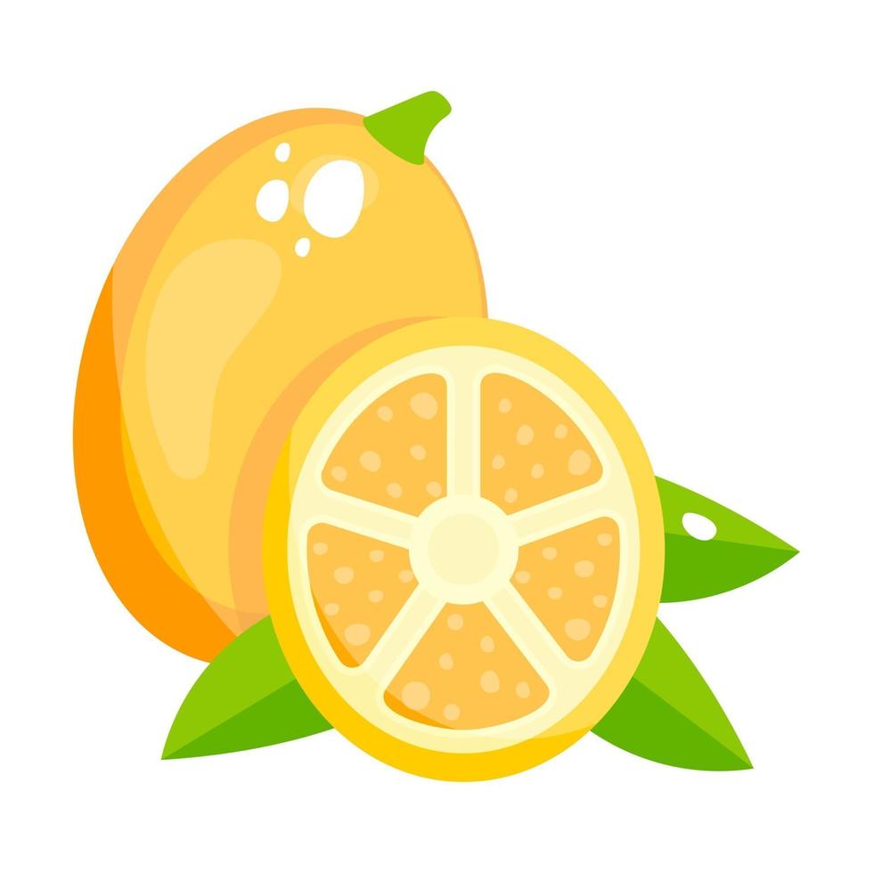 Lemon Sour pulpy vector