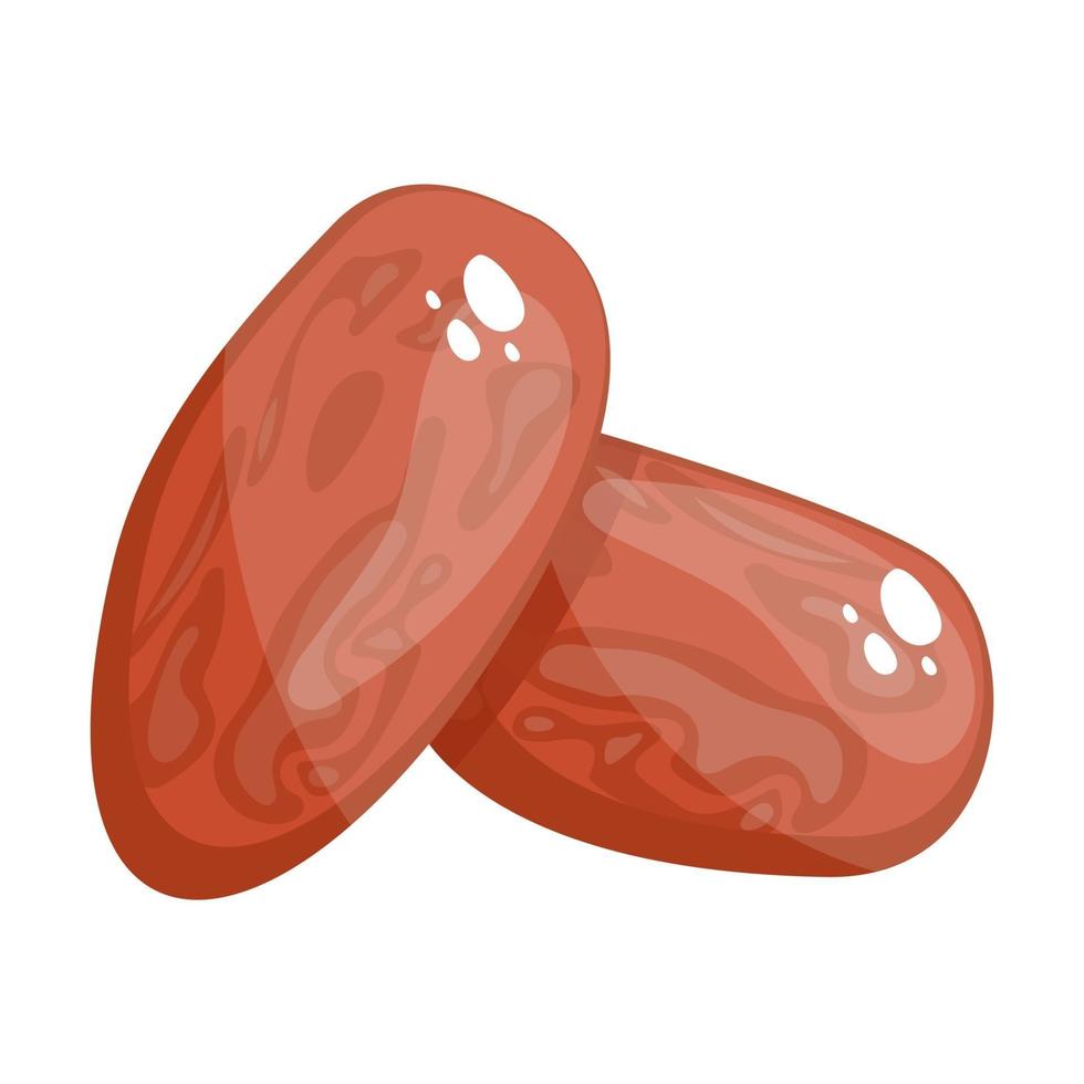 Dates Arab traditional vector