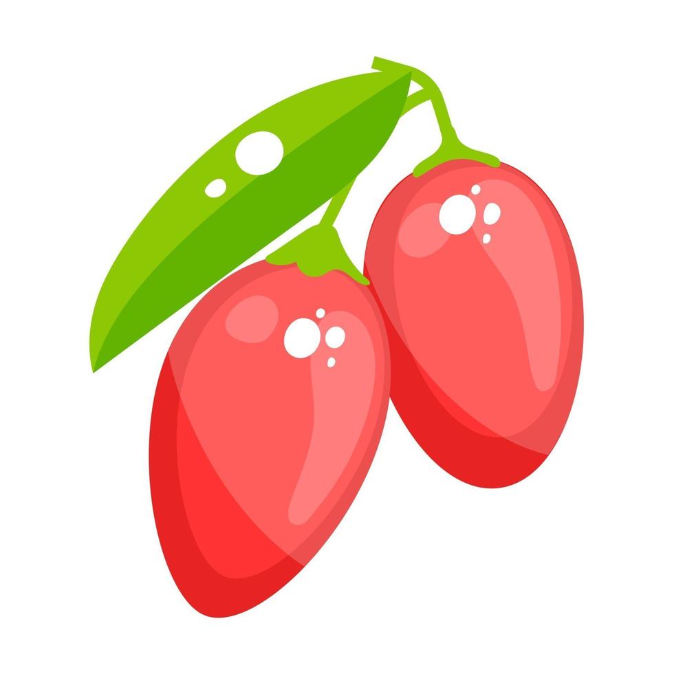 Bing Cherries  healthy diet vector