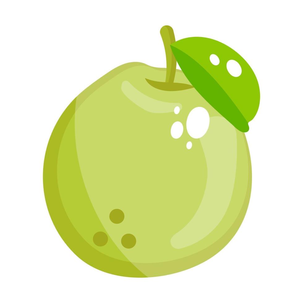 Guava fruit with leave vector